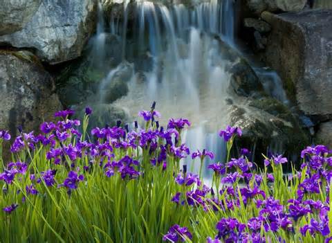 Be in Your Heart and Flow