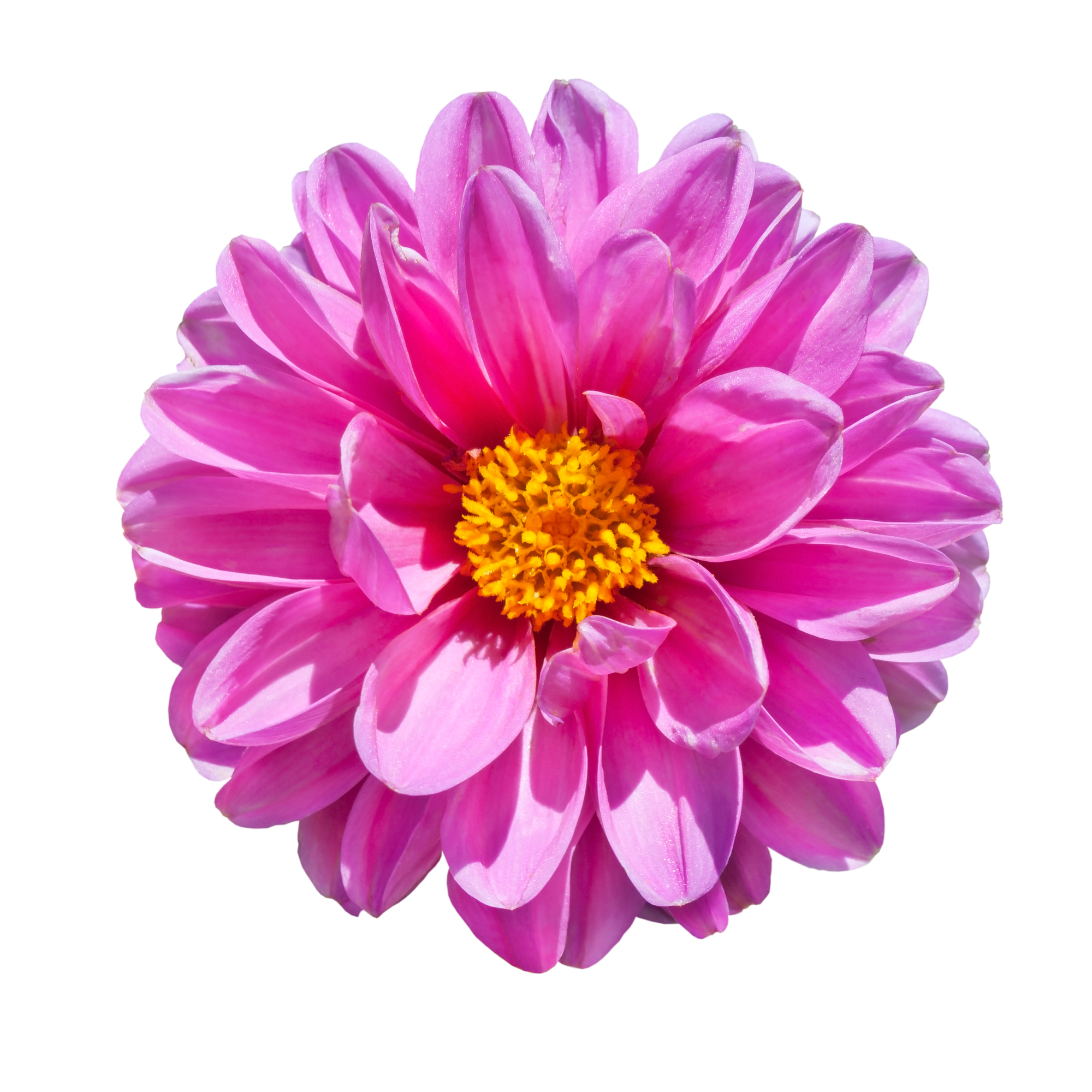 Our Experiences Advance Us Toward Self-Realization